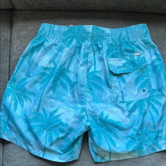 Blue Quick-Dry Swim Trunks - Picture 2 of 2